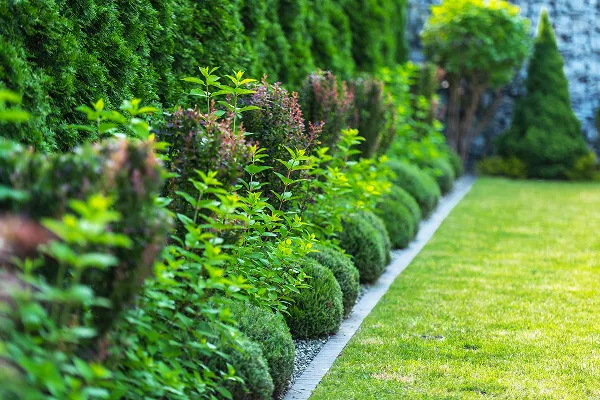 Ecoyard-project-details-5.webp